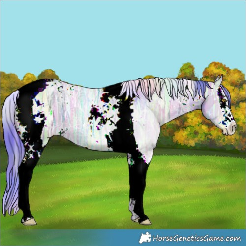 Horse Color:Nacre Watercolor White Spotted Brown Ice Pearl Dun Splash Tobiano 