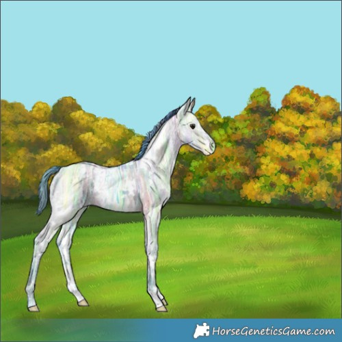 Horse Color:Nacre Watercolor White Spotted Brown Ice Dun 