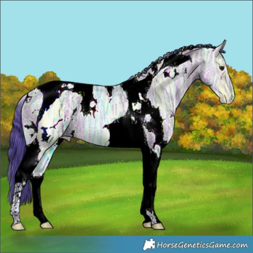 Horse Color:Watercolor White Spotted Brown Ice Dun Tobiano