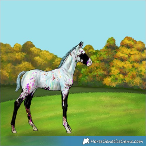Horse Color:Watercolor White Spotted Brown Ice Splash