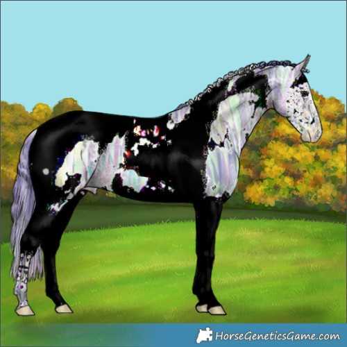 Horse Color:Nacre Watercolor White Spotted Bay Ice Splash Tobiano