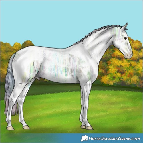 Horse Color:Nacre Watercolor White Spotted Brown Ice Dun Splash Tobiano 