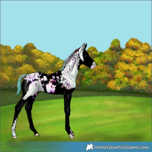Horse Color:Watercolor Brown Ice Dun Splash Tobiano 