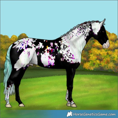 Horse Color:Watercolor Brown Ice Dun Splash Tobiano