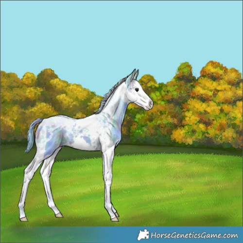 Horse Color:Nacre Watercolor Brown Ice Dun Splash Tobiano 