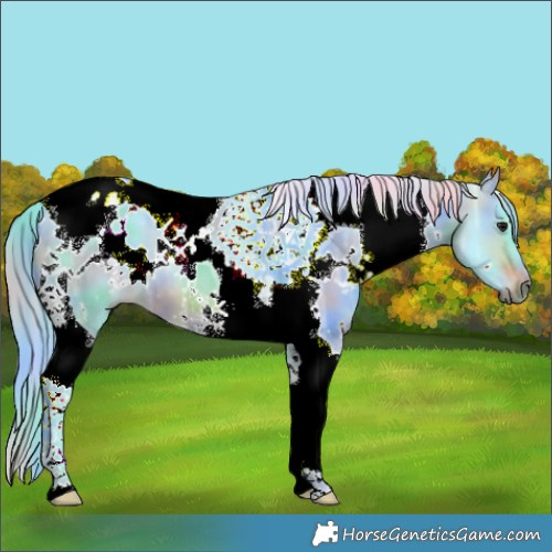 Horse Color:Nacre Watercolor White Spotted Brown Ice Tobiano 