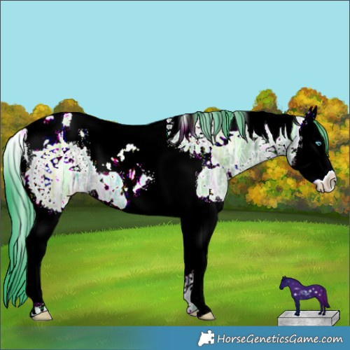 Horse Color:Watercolor White Spotted Grullo Ice Splash Tobiano 