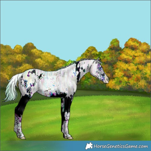 Horse Color:Nacre Watercolor White Spotted Brown Ice Dun Splash 