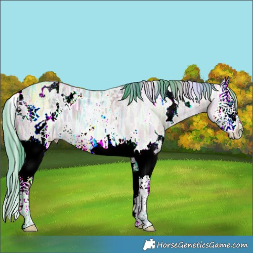 Horse Color:Nacre Watercolor White Spotted Brown Ice Dun Splash