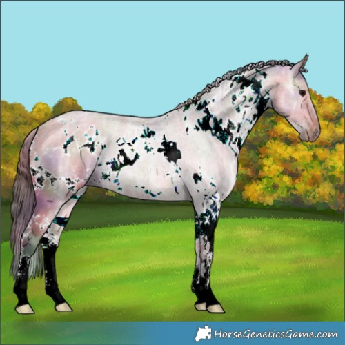 Horse Color:Nacre White Spotted Bay Ice Dun 