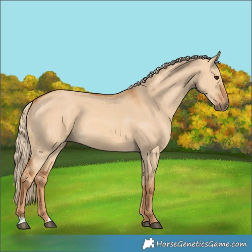 Horse Color:Red Dun 