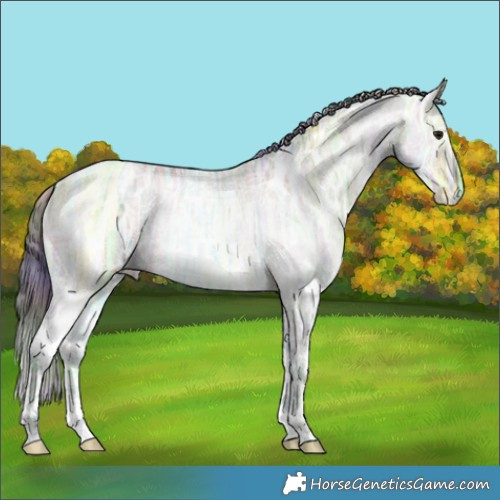 Horse Color:Nacre White Spotted Brown Ice Dun 