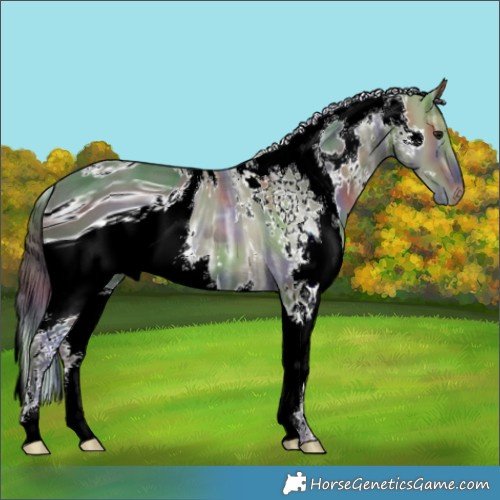 Horse Color:ERROR: UNKNOWN ANOMALY