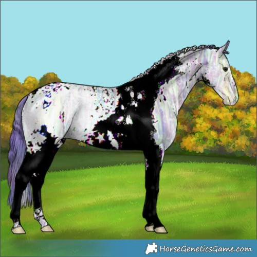 Horse Color:Nacre Watercolor White Spotted Brown Ice Dun Tobiano 