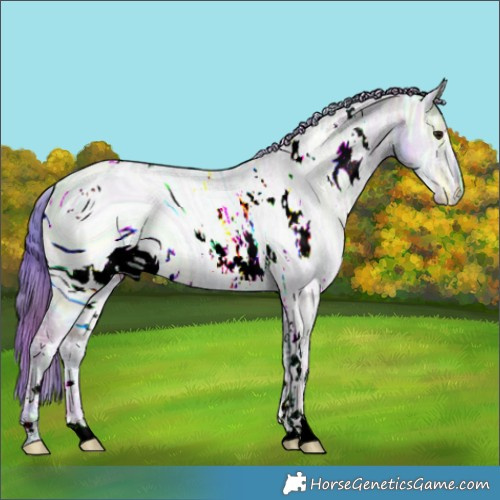 Horse Color:ERROR: UNKNOWN ANOMALY