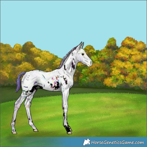 Horse Color:ERROR: UNKNOWN ANOMALY