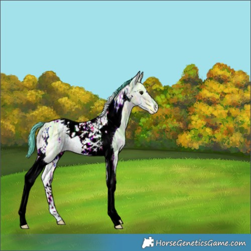 Horse Color:Nacre Watercolor Brown Ice Dun Tobiano 