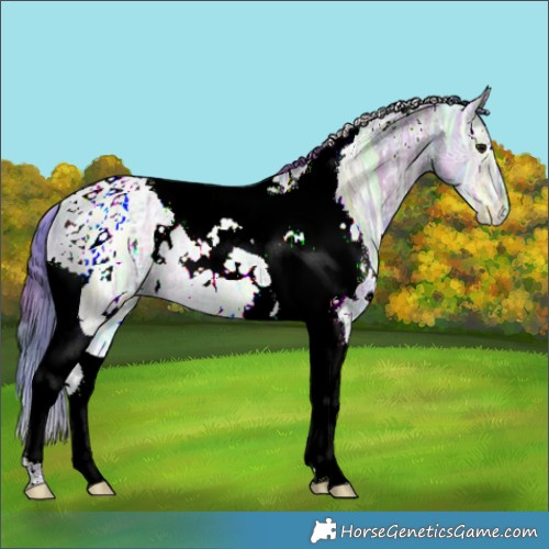 Horse Color:Nacre Watercolor White Spotted Brown Ice Dun Tobiano 