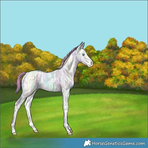 Horse Color:Nacre Watercolor White Spotted Brown Ice Dun Splash 