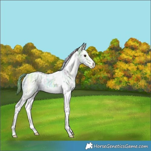 Horse Color:Nacre Watercolor White Spotted Bay Ice Dun Splash 