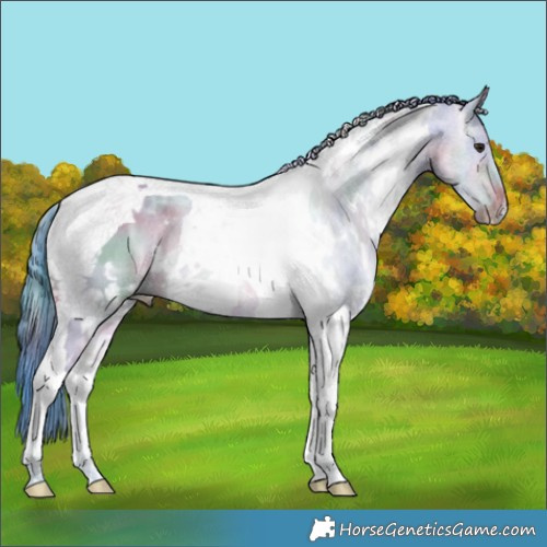 Horse Color:Nacre Watercolor White Spotted Bay Ice Dun Tobiano
