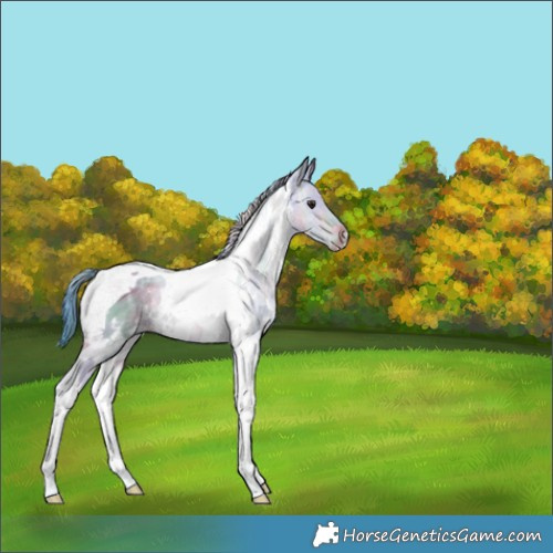 Horse Color:Nacre Watercolor White Spotted Bay Ice Dun Tobiano 