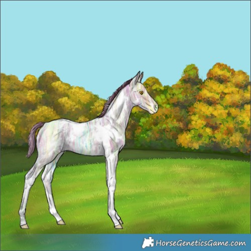 Horse Color:Watercolor White Spotted Brown Ice Pearl Dun Tobiano 