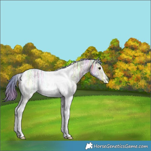 Horse Color:Nacre Watercolor White Spotted Brown Ice Dun Tobiano 