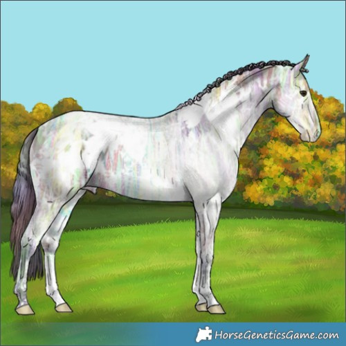 Horse Color:Nacre White Spotted Bay Ice Dun 