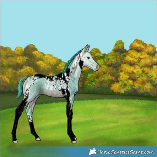 Horse Color:Watercolor Brown Ice Dun Tobiano 