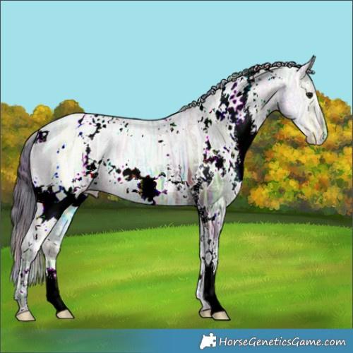 Horse Color:Nacre White Spotted Brown Ice Dun 