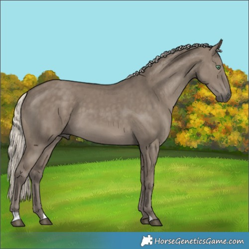 Horse Color:Silver Smoky Grullo Brindle 