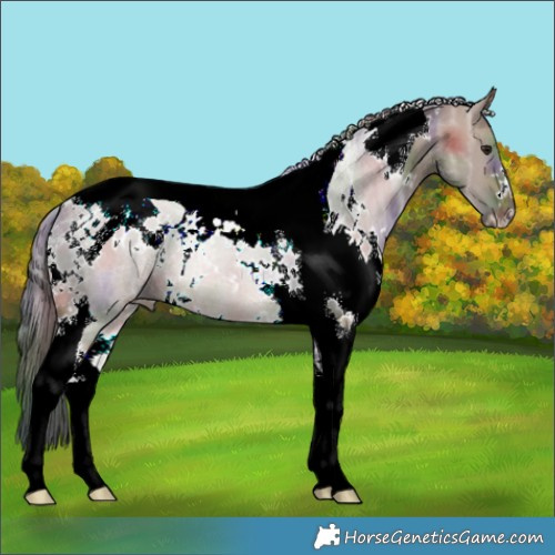 Horse Color:Nacre White Spotted Brown Ice Dun Tobiano 