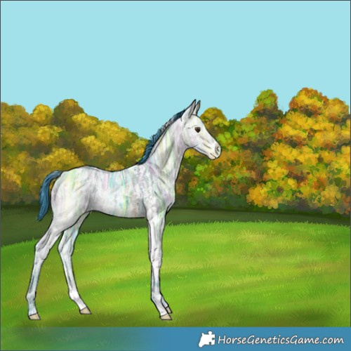 Horse Color:Watercolor White Spotted Bay Ice Dun 