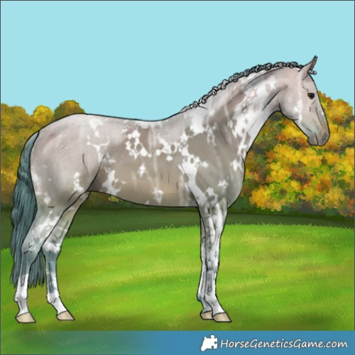 Horse Color:Watercolor White Spotted Brown Ice Dun 