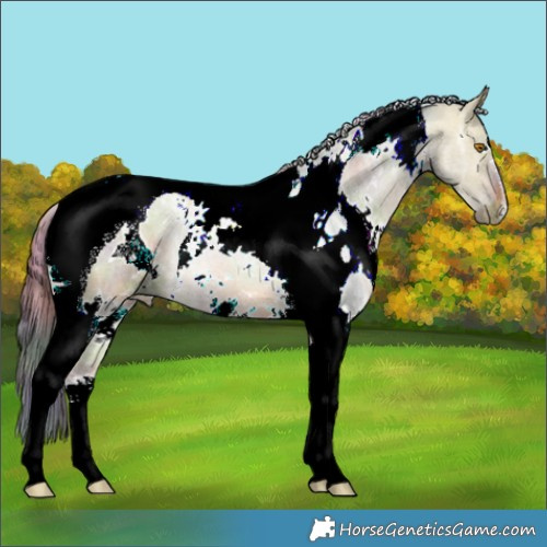 Horse Color:Nacre White Spotted Bay Ice Dun Tobiano 