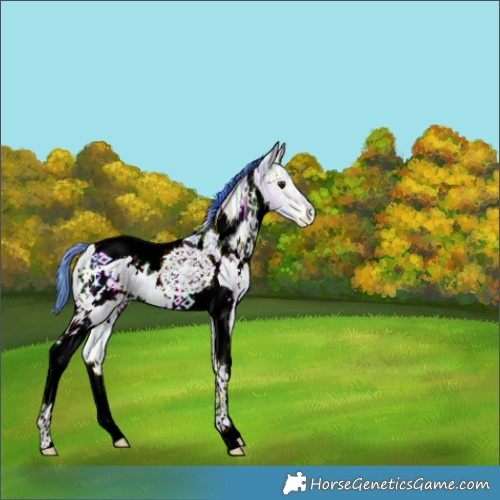 Horse Color:Nacre Watercolor White Spotted Brown Ice Dun Tobiano 