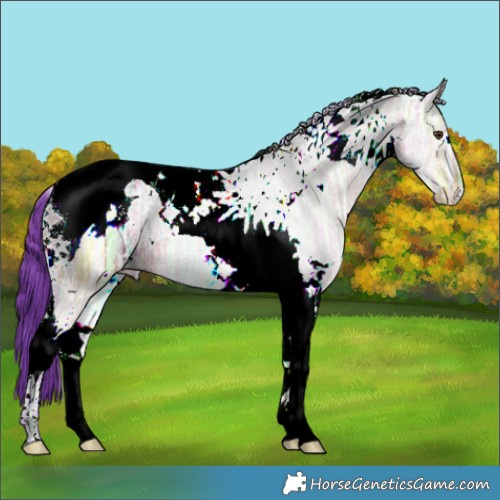 Horse Color:Watercolor White Spotted Bay Ice Dun Tobiano 