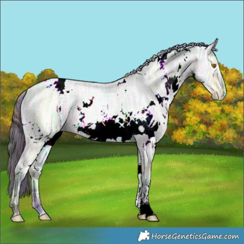 Horse Color:Nacre White Spotted Bay Ice Dun 