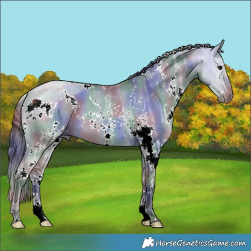Horse Color:Nacre White Spotted Bay Ice Dun 