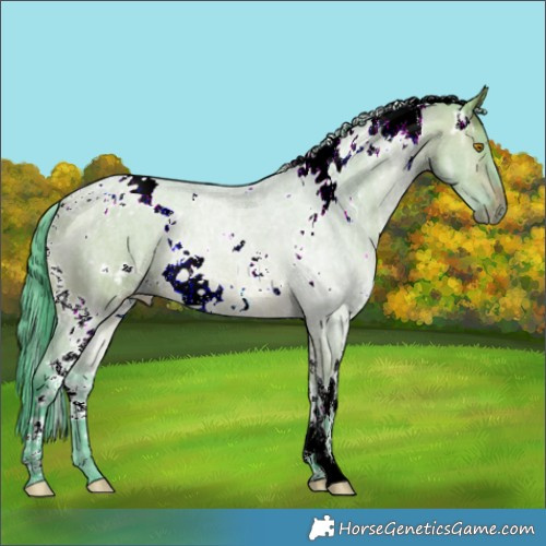 Horse Color:Watercolor White Spotted Brown Ice Dun 