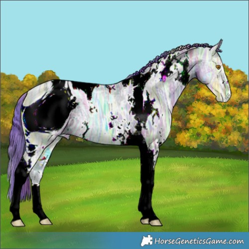 Horse Color:ERROR: UNKNOWN ANOMALY