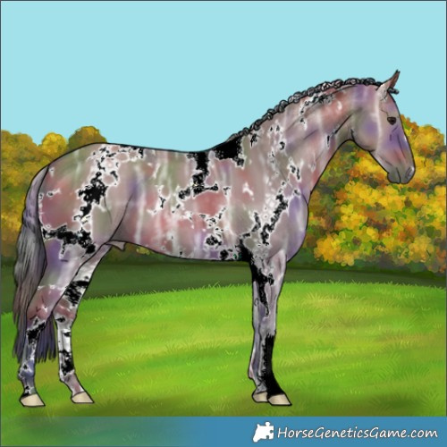 Horse Color:Nacre White Spotted Brown Ice Dun 