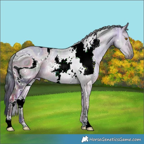 Horse Color:ERROR: UNKNOWN ANOMALY