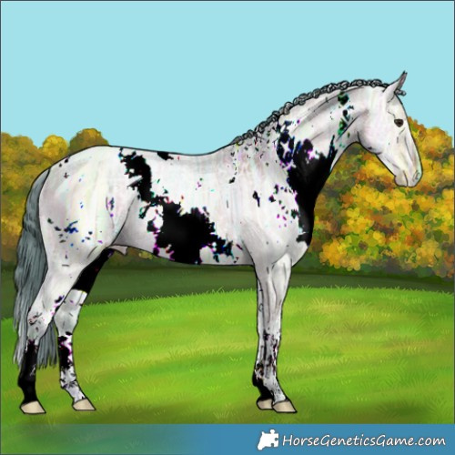 Horse Color:Watercolor White Spotted Bay Ice Dun 