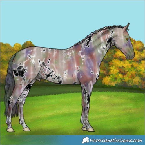 Horse Color:Nacre White Spotted Brown Ice Dun 