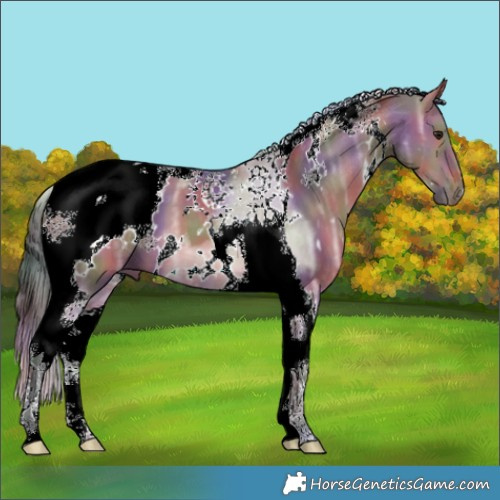 Horse Color:Nacre White Spotted Brown Ice Dun Tobiano 