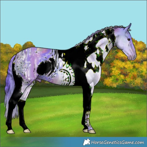 Horse Color:ERROR: UNKNOWN ANOMALY