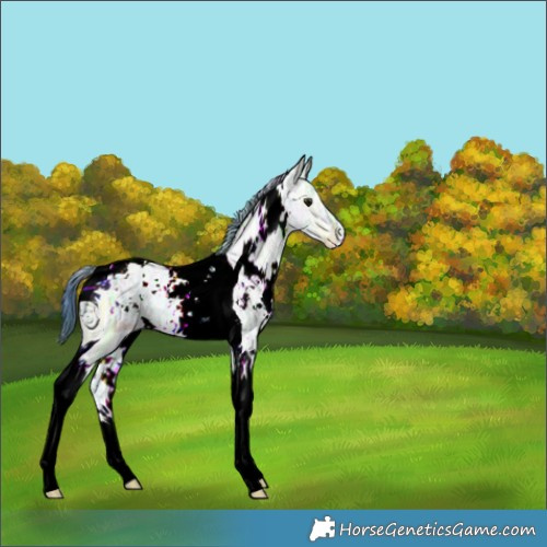 Horse Color:ERROR: UNKNOWN ANOMALY