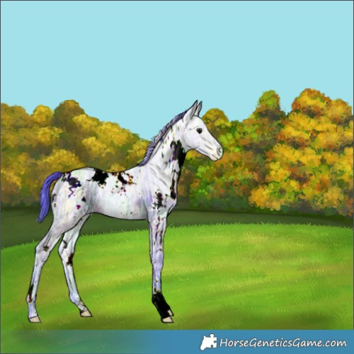 Horse Color:Nacre Watercolor White Spotted Brown Ice Dun 